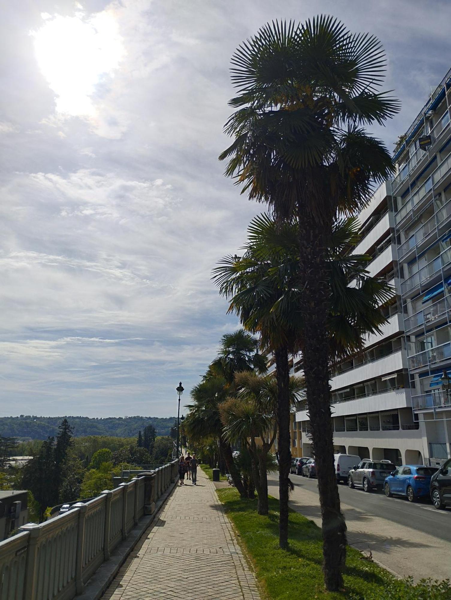 Chambrette Boulevard Des Pyrenees Hypercentre 10M Carre Wc Sur Le Palier, Porte40 Pau Exteriér fotografie